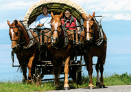 Estavayer-le-Lac © Estavayer-le-Lac/Payerne Tourisme