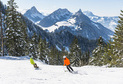 2013.03 - La Gruyère