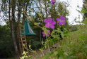 © Bivouac dans les arbres Villarimboud