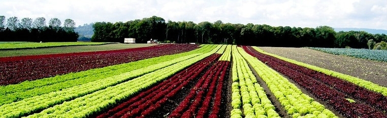 Kerzers