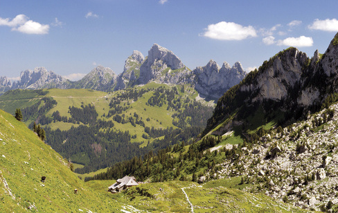 La Gruyère