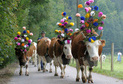 2013.09 - La Gruyère