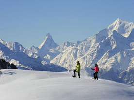En raquettes à neige à travers la forêt d'Aletsch