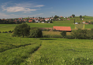 Rechthalten