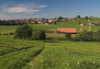 Rechthalten