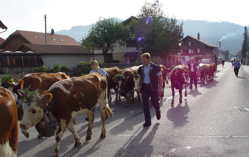 2013.09 - Plaffeien