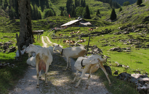 Schwarzsee
