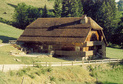 Kneuwis