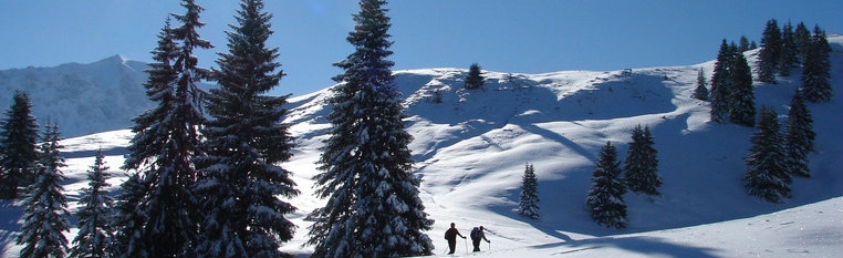 Schwarzsee