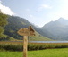 Schwarzsee