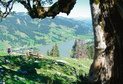 Schwarzsee