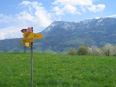 Allmig mit Rigi Kulm