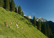 La Gruyère © Franck Auberson