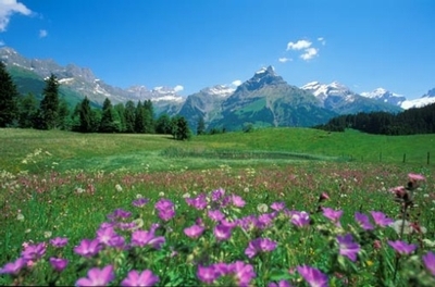 Engelberg - Gerschnialp
