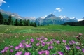 Engelberg - Gerschnialp