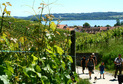 2013.07 - Le Vully