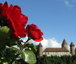 2013.06 - Estavayer-le-Lac
