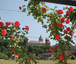 2013.06 - Estavayer-le-Lac