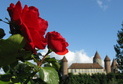 2013.06 - Estavayer-le-Lac