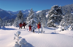 Zauberhafte Winterlandschaft im Langis
