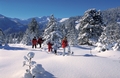 Zauberhafte Winterlandschaft im Langis