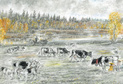 La Gruyère