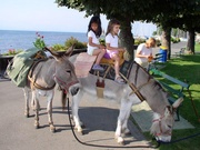 © Morges Région Tourisme
