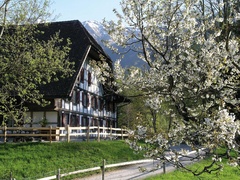 Musée de l'habitat rural Ballenberg