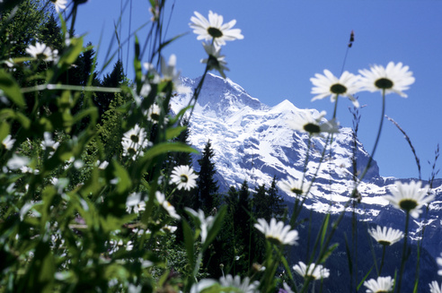 Interlaken - Alpine Perlen Pauschale Interlaken - Alpine Perlen Pauschale