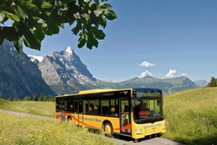 Gletscher Rundfahrt - Grosse Scheidegg