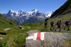 Randonnée - Schilthorn Randonnée - Schilthorn