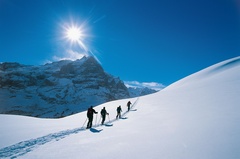 Grindelwald - First