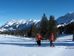 Habkern - Lombachalp Habkern - Lombachalp
