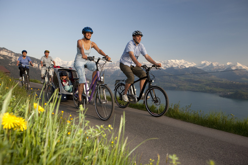 Flyer electric bikes