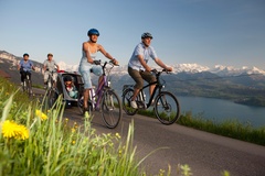 Flyer electric bikes
