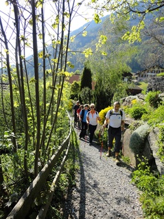 Nordic Walking Nordic Walking