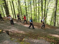 Nordic Walking Nordic Walking