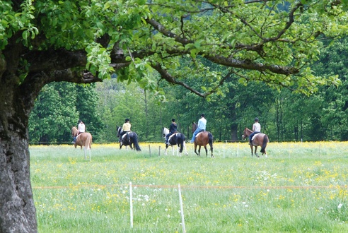 Reiten Reiten