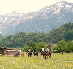 Reiten Reiten