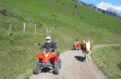Quad Touren Berner Oberland Quad Touren Berner Oberland