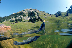 Fischen Stockhorn Fischen Stockhorn