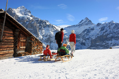 Jungfrau Region - Schlitteln