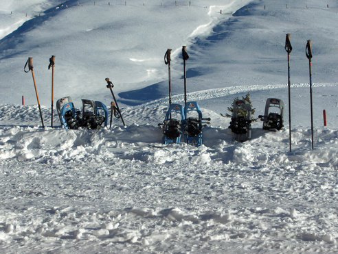 Schneeschuhlaufen