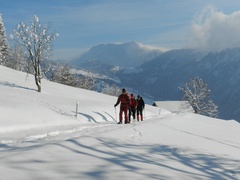 Winterwandern Winterwandern