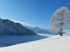 Winterwandern Winterwandern