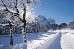 Winterwandern Winterwandern
