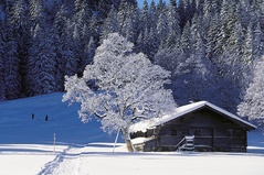 Winterwandern Winterwandern