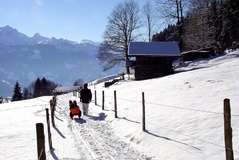 Winterwandern