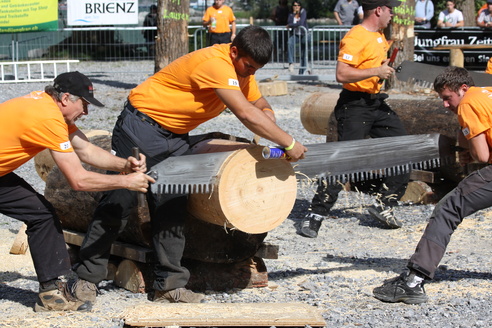 Brienzer Holzfällertage Brienzer Holzfällertage