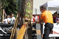Brienzer Holzfällertage Brienzer Holzfällertage
